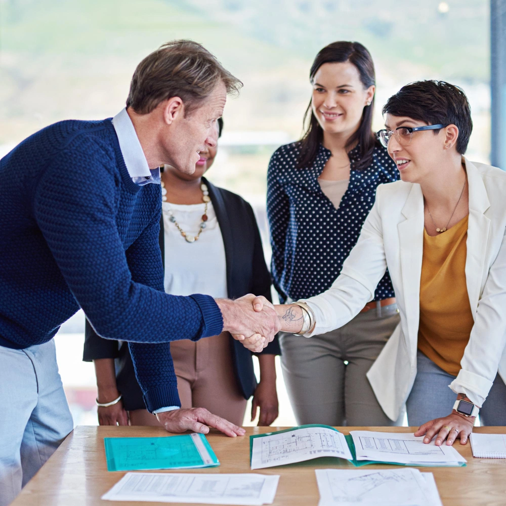 Sanascript Success Stories